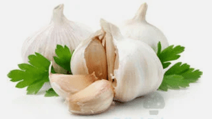 Garlic from the fungus